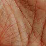 手相の感情線が枝分かれする意味とは？恋愛運・性格を2026年最新解説