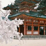 【2026年最新】姓名判断×生年月日で運勢・性格を徹底解説｜東洋占術で読み解くあなたの本質