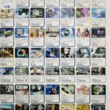 算命学を生年月日で無料診断！2026年最新版・基本的な見方と活用法を徹底解説